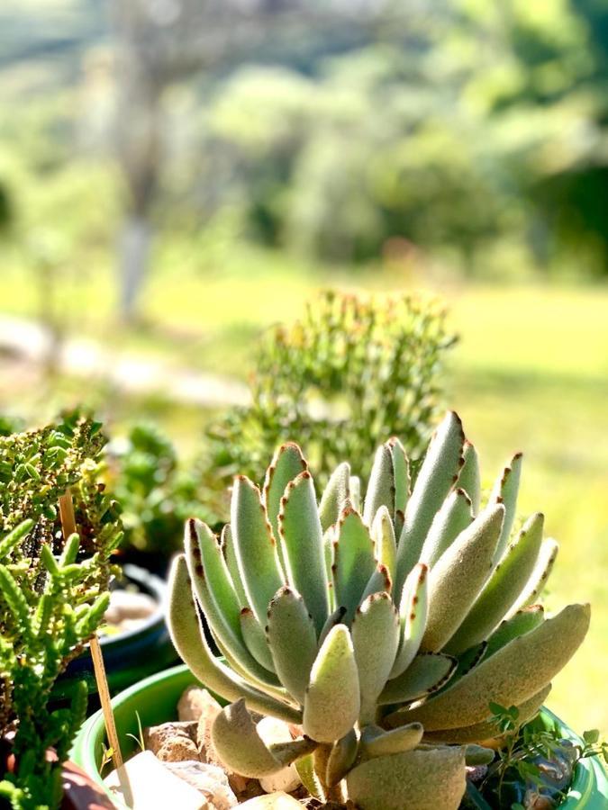 Recanto Roca Grande クーニャ エクステリア 写真